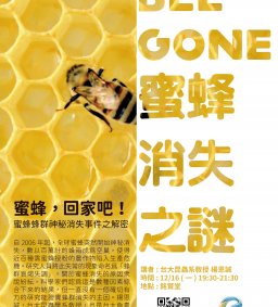 蜜蜂，回家吧！蜜蜂蜂群神秘消失事件之解密