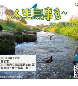 人生鳥事多—筏子溪賞鳥趣