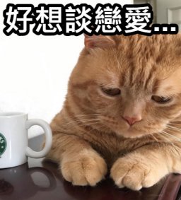 【講座】追愛=懊惱逡巡?—跨出暗戀前的預防針