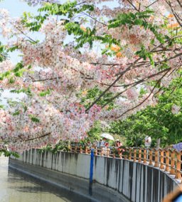 田中八堡一圳清掃學習活動(含社區巡禮)