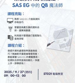 SAS EG中的QB魔法師